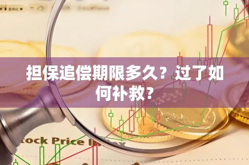 苏州担保追偿期限多久?过了如何补救?